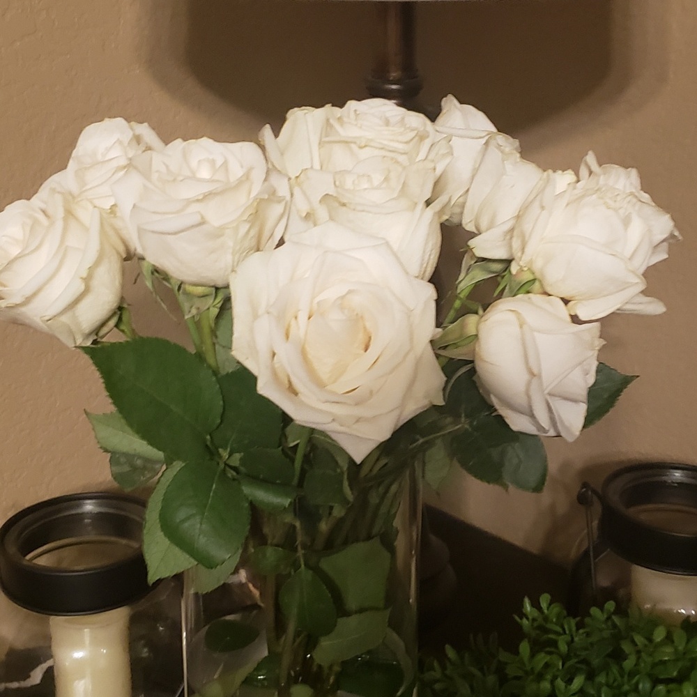 Meet your Posher, Teresa